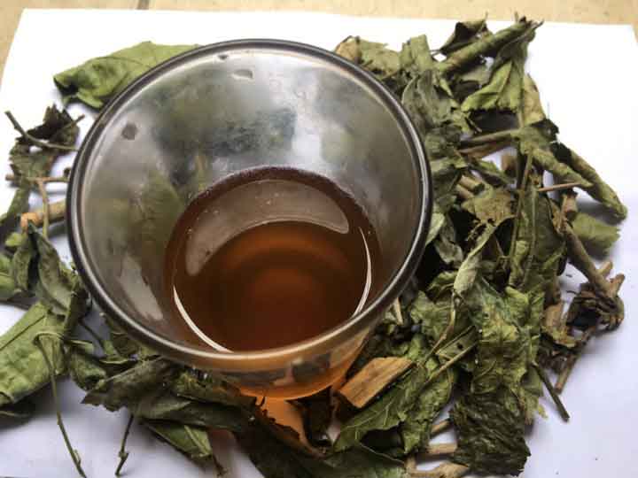 Đối tượng sử dụng cây xạ đen Đối tượng sử dụng cây xạ đen