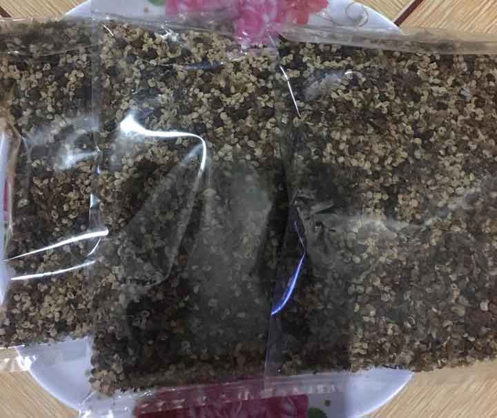 Kỹ thuật ươm hạt giống xạ đen Kỹ thuật ươm hạt giống xạ đen