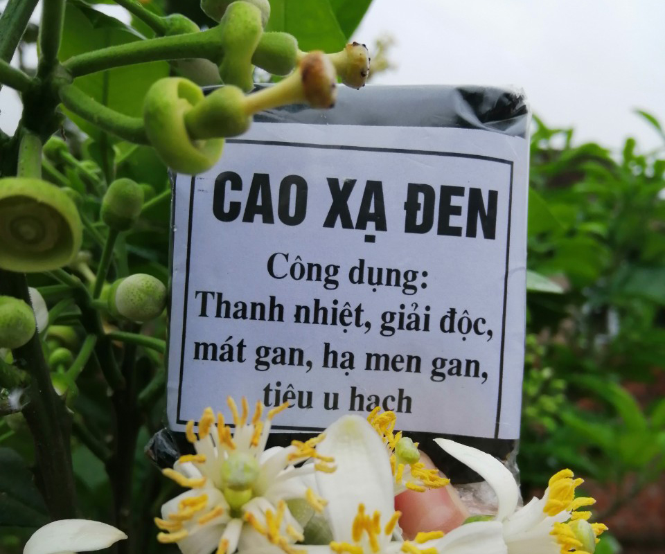 Thương hiệu Cao Xạ đen Hòa Bình