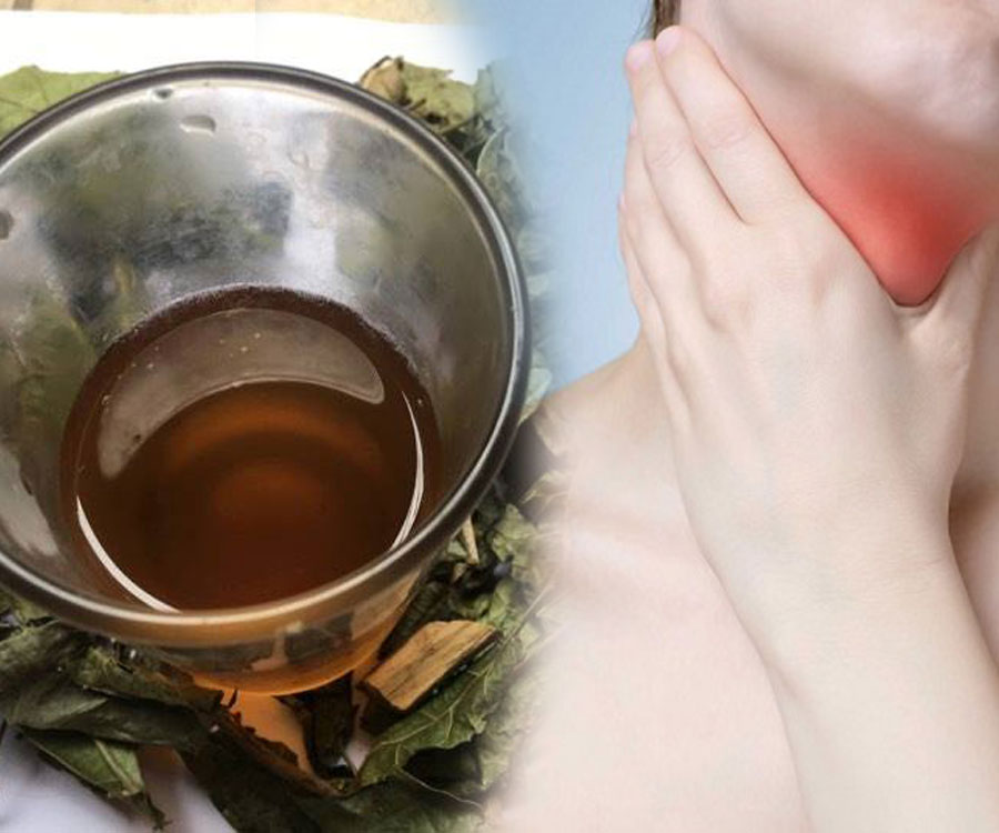 Cây Xạ Đen Hỗ Trợ Điều Trị bệnh Bướu Cổ