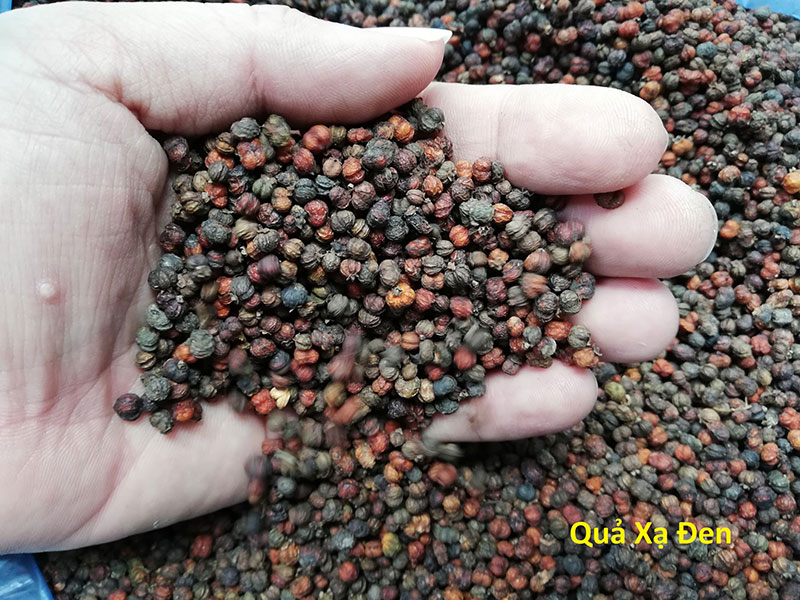 Quả xạ đen khô Quả xạ đen khô
