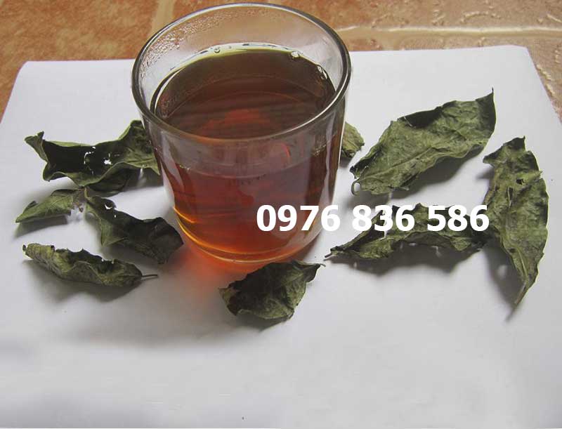 Nước cây xạ đen Nước cây xạ đen