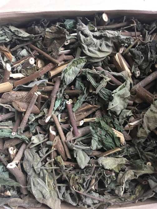 Cây an xoa hỗ trợ giải độc gan Cây an xoa hỗ trợ giải độc gan
