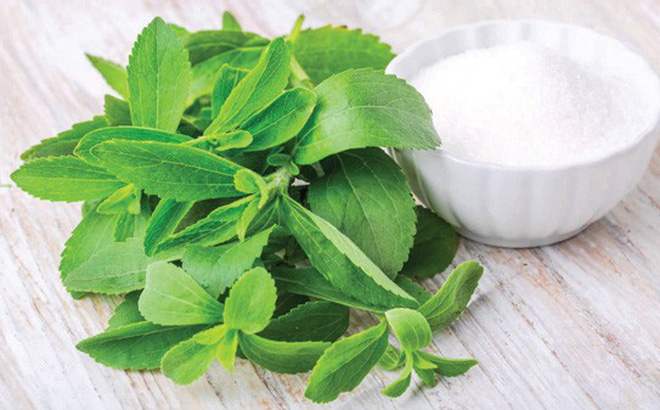Cây cỏ ngọt Cây cỏ ngọt
