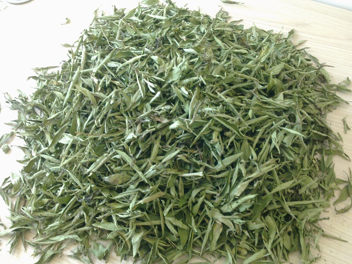 Tác dụng của cây cỏ ngọt Tác dụng của cây cỏ ngọt