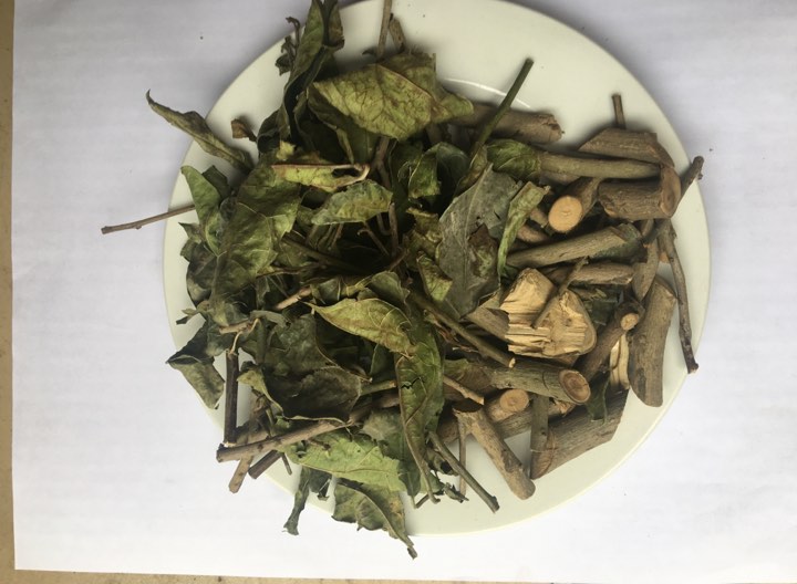 Dùng thân hay lá xạ đen Hòa Bình tốt hơn? Dùng thân hay lá xạ đen Hòa Bình tốt hơn?