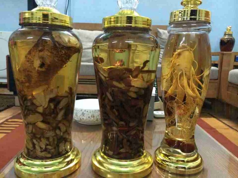 Hướng dẫn cách dùng Rễ cây xạ đen Hướng dẫn cách dùng Rễ cây xạ đen