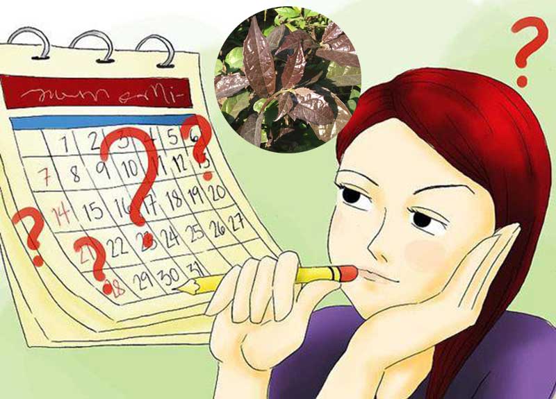Đang có kinh uống được xạ đen không Đang có kinh uống được xạ đen không