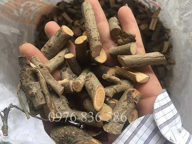 Thân cây xạ đen