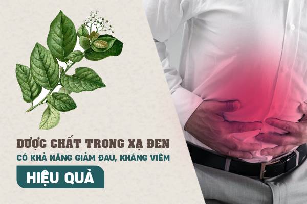 cây xạ đen hỗ trợ điều trị bệnh u xơ tử cung cây xạ đen hỗ trợ điều trị bệnh u xơ tử cung
