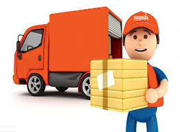 Hướng dẫn mua cây xạ đen và thanh toán