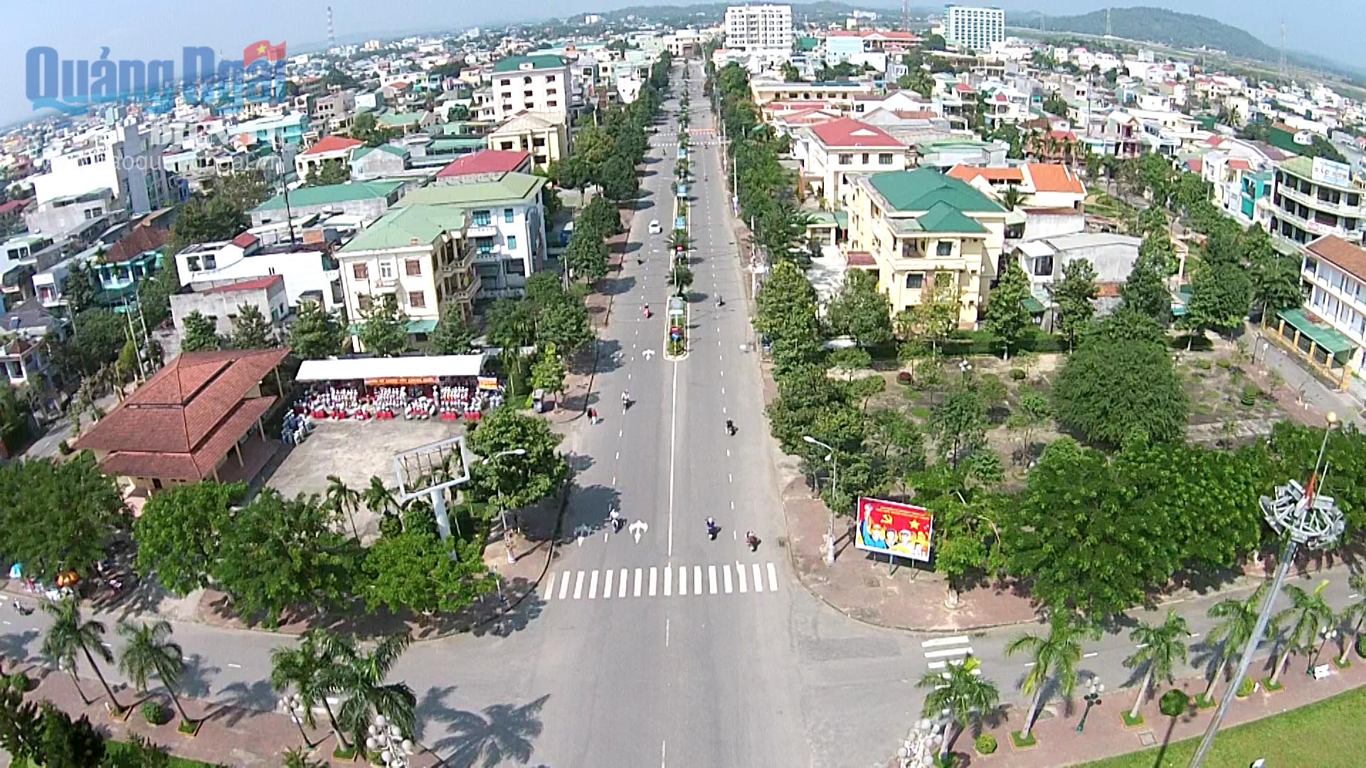 Mua bán cây xạ đen tại Quảng Ngãi