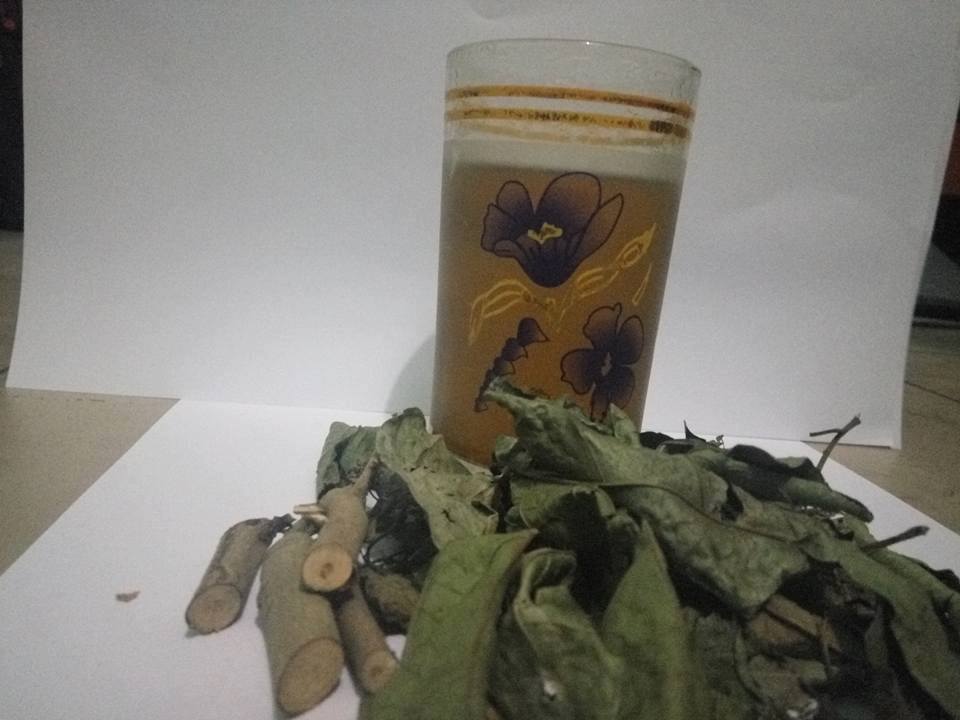 Những ai không nên dùng cây xạ đen ?