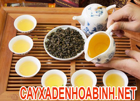 cách dùng cây xạ đen
