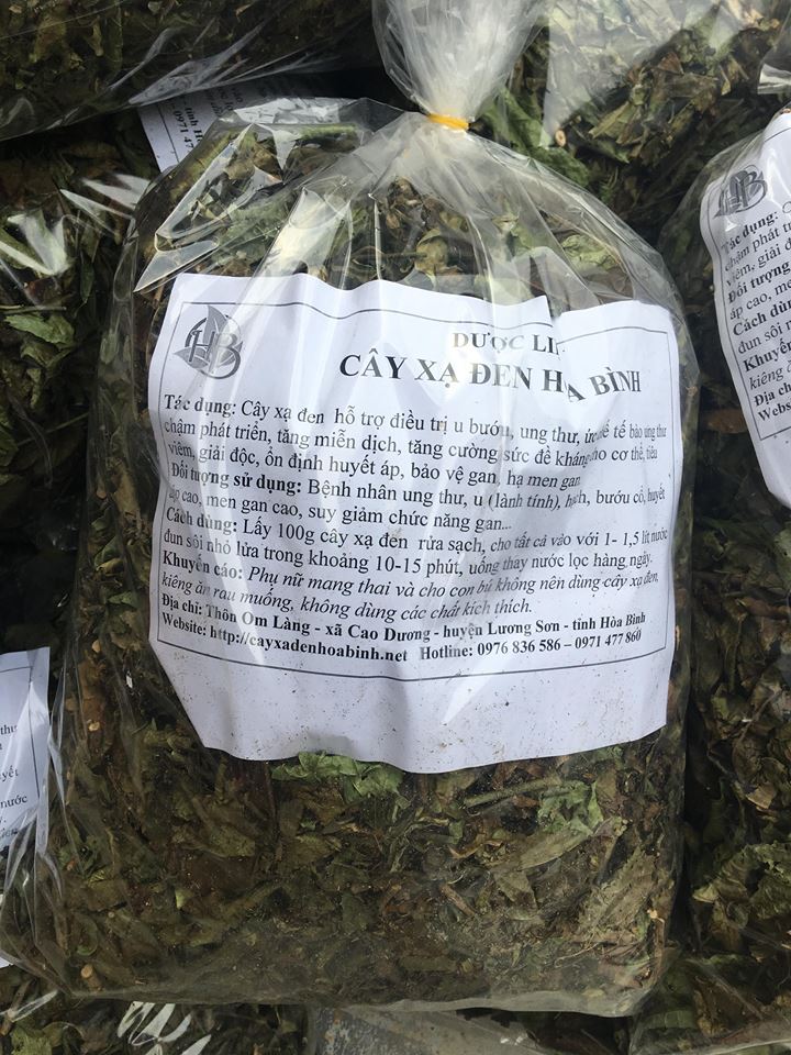 Cây xạ đen hỗ trợ điều trị ung thư trung thất di căn