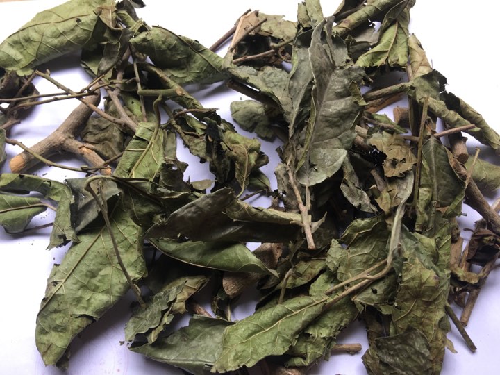Cây xạ đen hỗ trợ điều trị Ung thư tuyến nước bọt