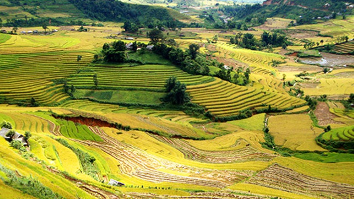 Lai Châu Lai Châu